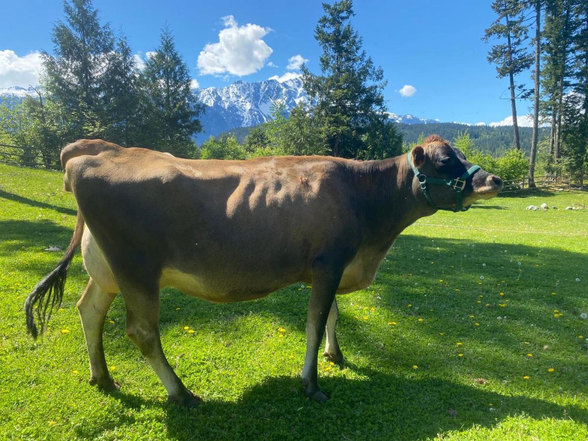 Sweetwater Lane Farm Villa Mount Currie Exterior photo