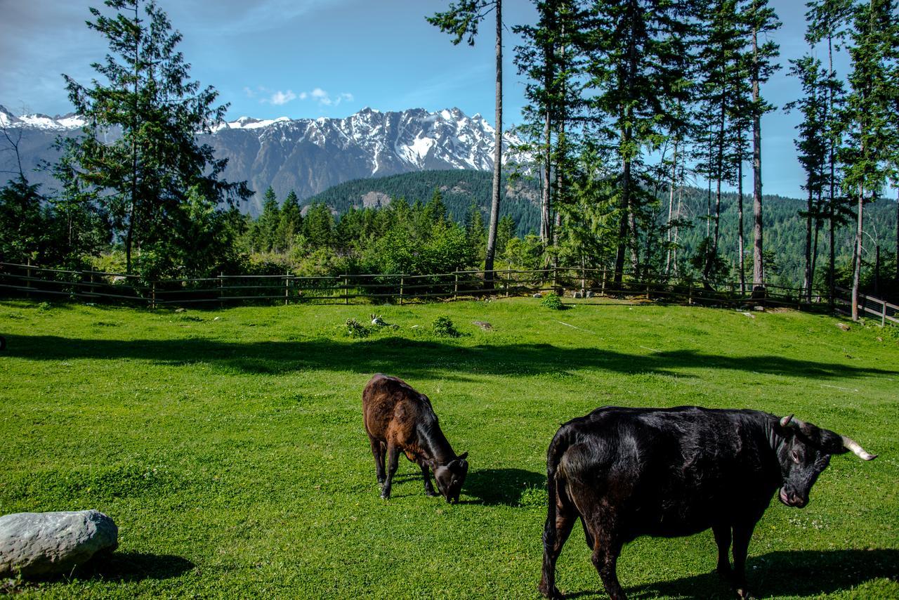 Sweetwater Lane Farm Villa Mount Currie Exterior photo